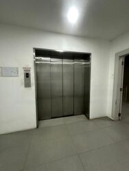 The Actuary (D12), Factory #565756691